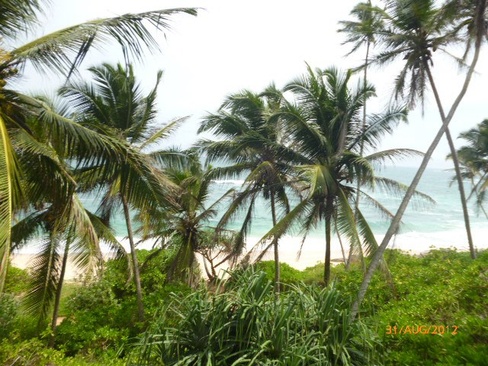 Amanwella